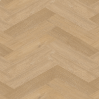 Chevron_weense punt_6541